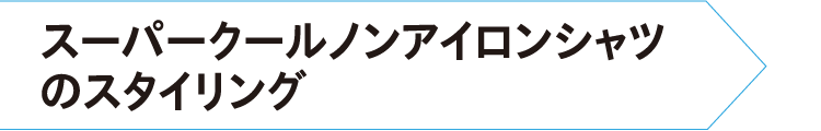 スーパークールノンアイロンシャツのスタイリング