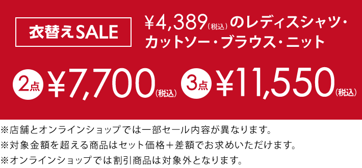 4,389円(税込)の対象アイテム2点で7,700円(税込)
