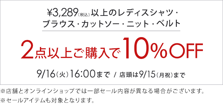 3,289円(税込)の対象アイテム2点で10%オフ