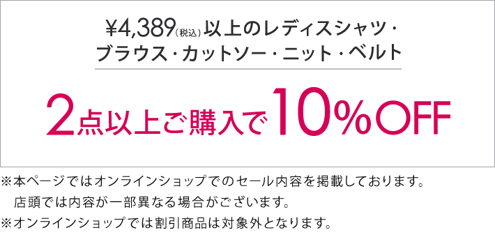 4,389円(税込)の対象アイテム2点で10%オフ