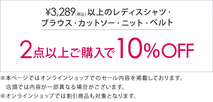 4,389円(税込)の対象アイテム2点で10%オフ