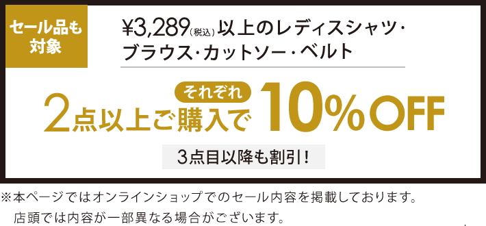 3,289円(税込)の対象アイテム2点で10%オフ