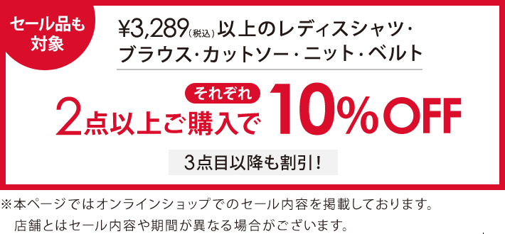 3,289円(税込)の対象アイテム2点で10%オフ