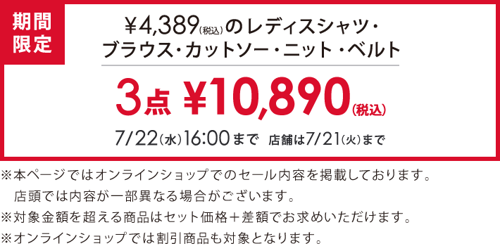 4,389円(税込)の対象アイテム3点で10,890円(税込)