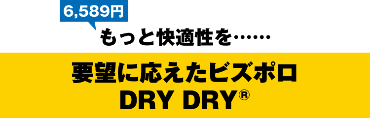 6,589円 もっと快適性を⋯⋯ 要望に応えたビズポロ DRY DRY®