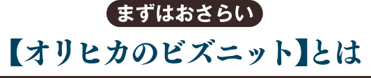 【オリヒカのビズニット】とは