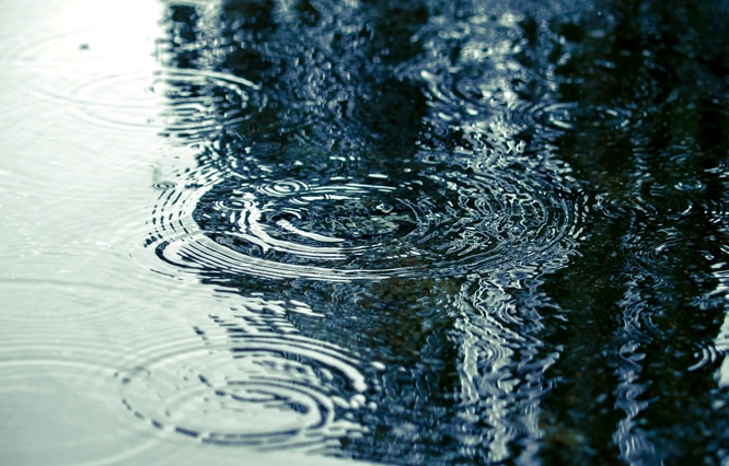 梅雨の時期必見！ 大事なスーツが雨でぬれてしまったときの対処法 | ORIHICA